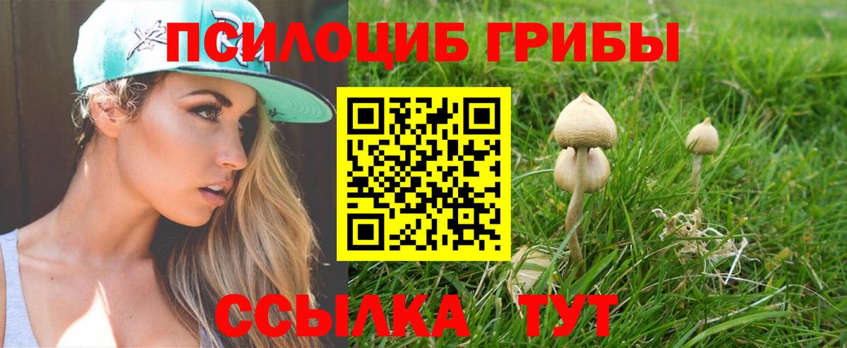 Псилоцибиновые грибы Psilocybine cubensis Рузаевка